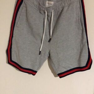 Gray Men's Shorts with Red and Black Stripes